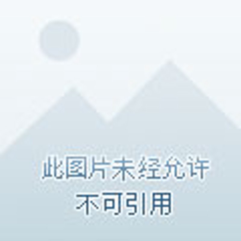 厦门会议策划全攻略：从创意到执行的专业指南